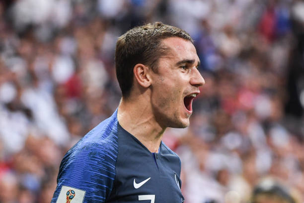 刺正在寻找 刺正在寻找