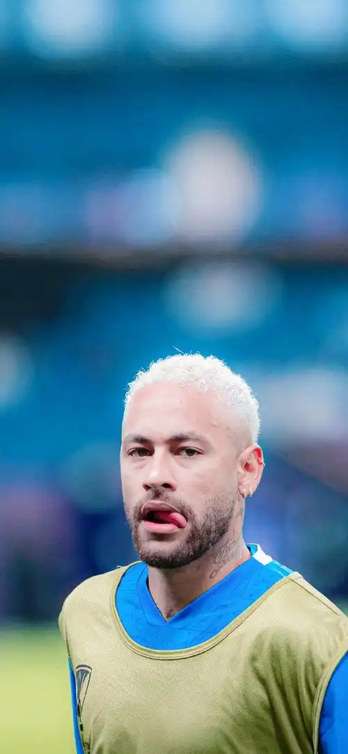 国家队的成 国家队的成